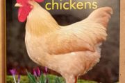 Raising Chickens Book