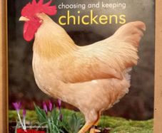 Raising Chickens Book