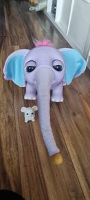Juno the Baby Elephant