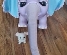 Juno the Baby Elephant
