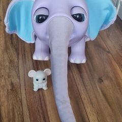 Juno the Baby Elephant