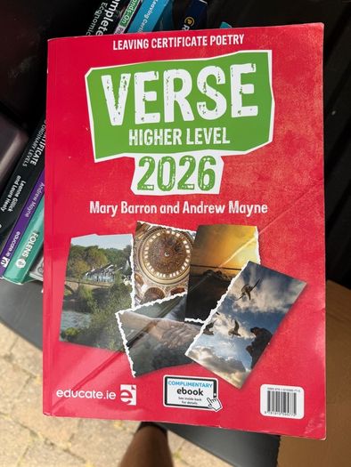Leaving cert books - Job lot