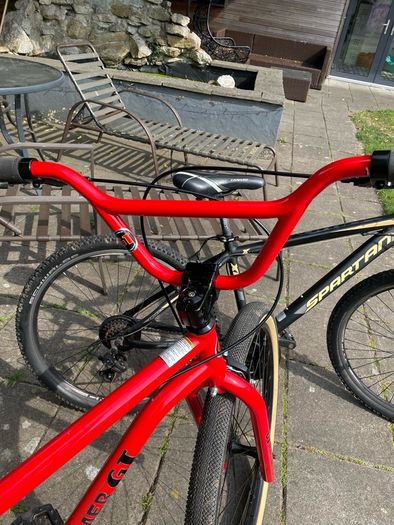 Gt Cruiser 29inch