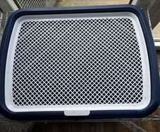 puppy dog training tray