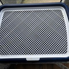 puppy dog training tray