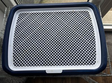 puppy dog training tray