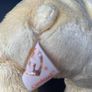 TY Bear Cornbread Image 2