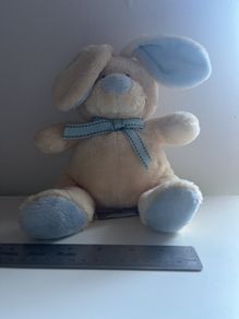 bunny teddy