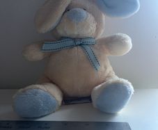 bunny teddy