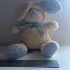 bunny teddy