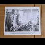 Driving Miss Daisy press kot Image 7