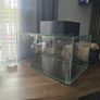 fish tank. Image 4