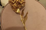 Long stem gold christmas flower
