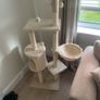 large Cat Scratcher/Post Image 3