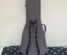 guitar case