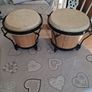 Bongo drums Image 2
