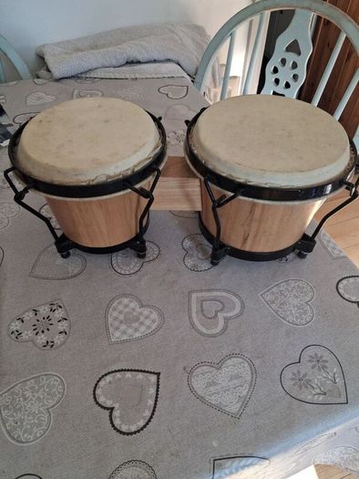 Bongo drums