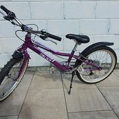 Girls 20 inch bicycle
