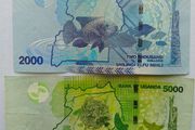 Ugandan Banknotes
