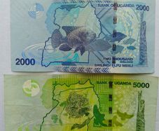 Ugandan Banknotes