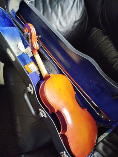 skylark violin