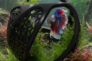 Betta Fish Cave Floating Hammock