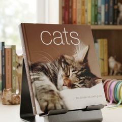 Cats: The Ultimate Cat Lover's Guide
