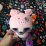 yoohoo racoon in pig costume Image 3