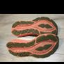Asics novablast 4 size uk 9,5 ( eu 44,5) Image 4