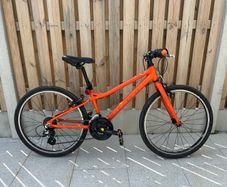 Hybrid bike