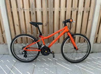 Hybrid bike