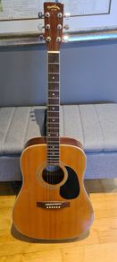 acoustic