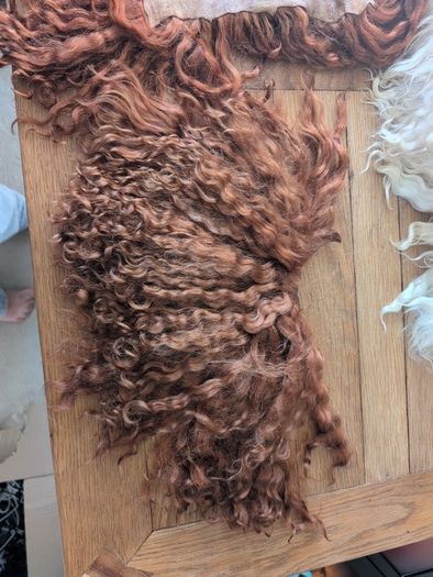 Doll hair Goat skin with long curls