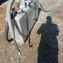 Tipping Gear Image 4
