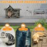Cat House Weatherproof, Large Feral Cat House for Winter, Collapsible Outdoor Cats Shelter in Winter with Door and Soft Mat, Easy to Assemble Image 2