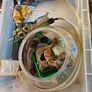 Fish Tank, cleaning bowl, ideal starter pack Image 6