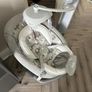 Joie Serina Swivel Baby Swing Elephant Duo Image 3