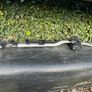 Thule ProRide Roof Mounted 1 bike Rack Image 6