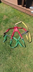safety  harness