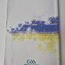 GAA various All Ireland SHC Final programmes Image 9