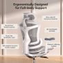 Sihoo Doro C300 Ergonomic Lumbar Support Office Chair Image 2