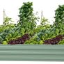 Raised Garden Bed Vegetable Plants Furits Planter Box Multiple Sizes Available (free Postage) Image 3