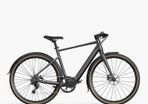 Fiido E-gravel C21 Electric Bike
