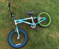 Verve Neo Chrome BMX