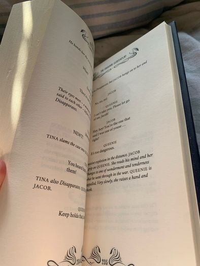 Hardback: Fantastic beasts and where to find them Playwrite