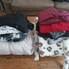 womens clothes