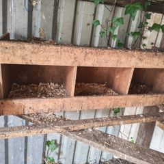 nesting boxes