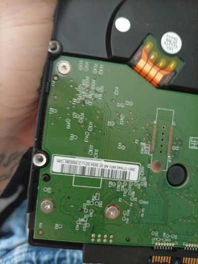 western digital