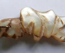 Antique Hand-carved Mother Of Pearl Gobbo Pendant - Antique Gobbo Charm