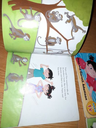 Topsy and Tim books,